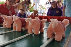 Apple Pie Fair 2016