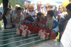 babbacombe-festival-2012-6