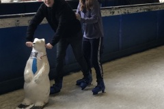 Ice Skating 2020